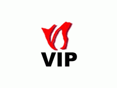 VIP服務1年